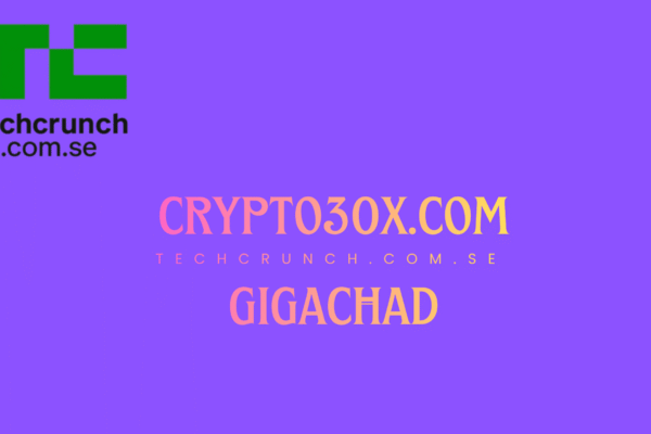 crypto30x.com gigachad