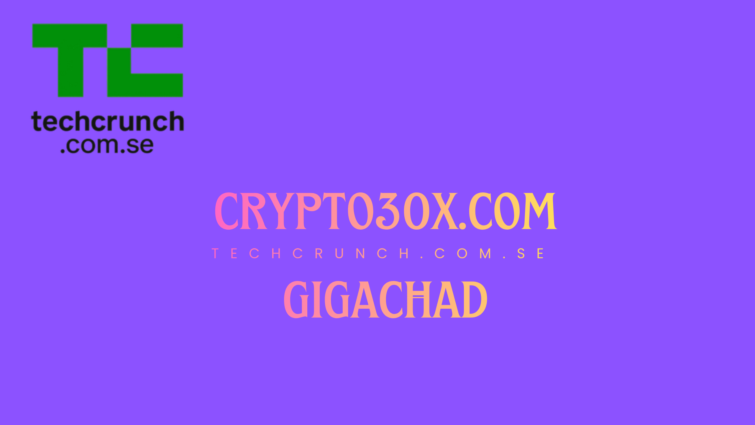 crypto30x.com gigachad
