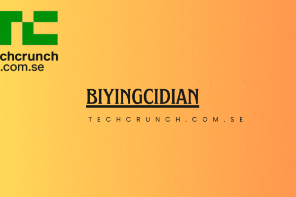 biyingcidian