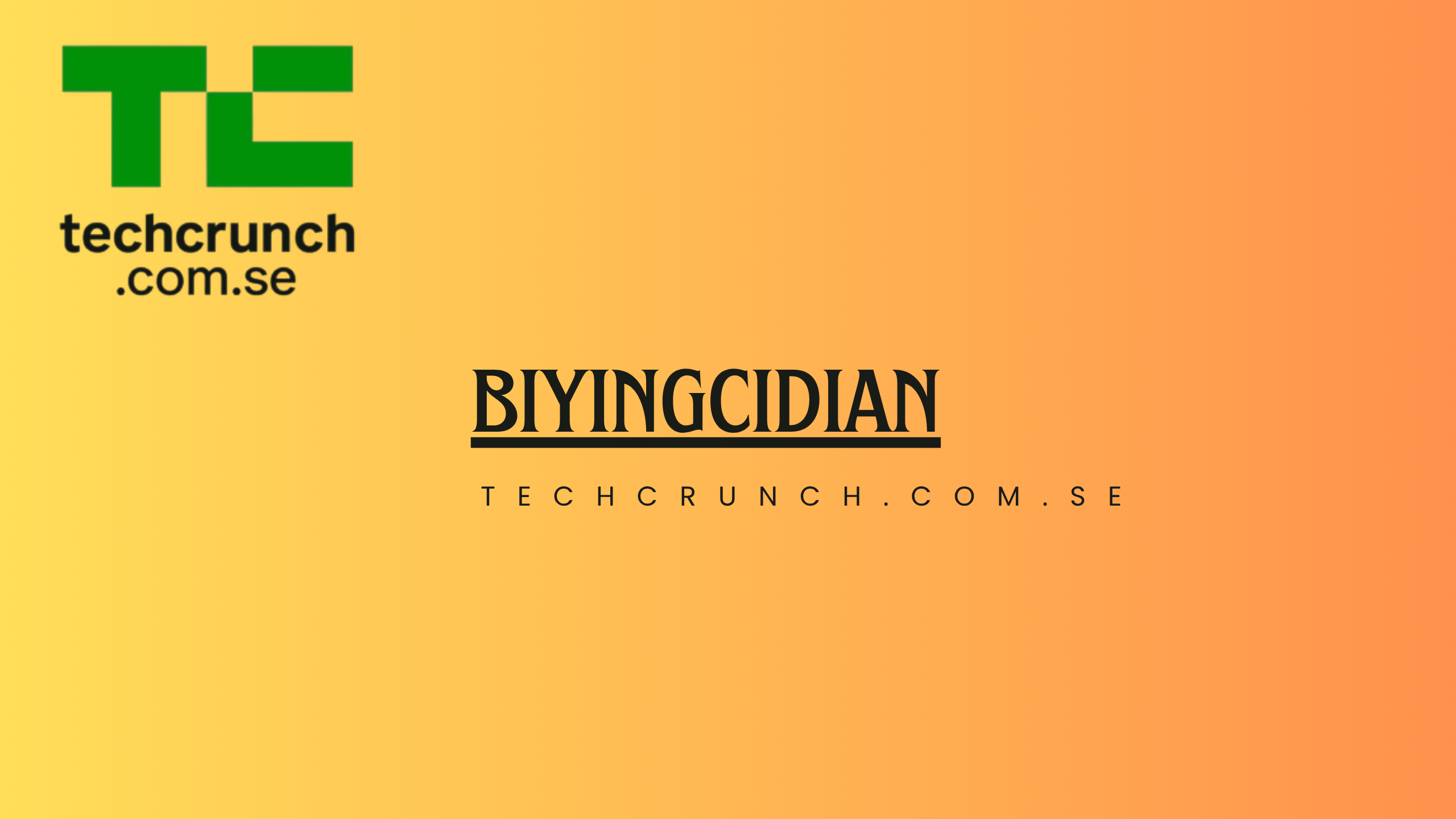 biyingcidian
